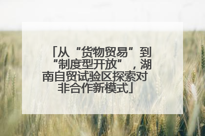 从“货物贸易”到“制度型开放”，湖南自贸试验区探索对非合作新模式