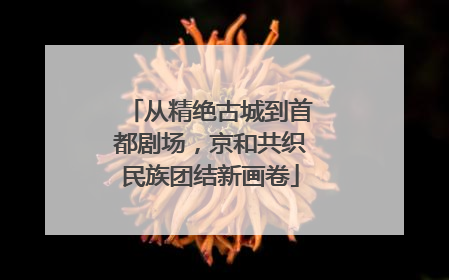 从精绝古城到首都剧场，京和共织民族团结新画卷