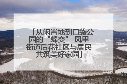从闲置地到口袋公园的“蝶变” 凤里街道后花社区与居民共筑美好家园