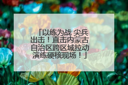 以练为战 尖兵出击！直击内蒙古自治区跨区域拉动演练硬核现场！