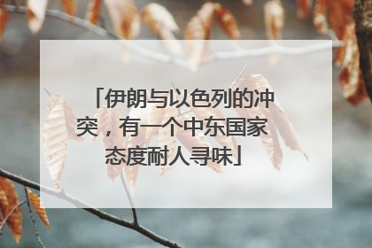 伊朗与以色列的冲突，有一个中东国家态度耐人寻味