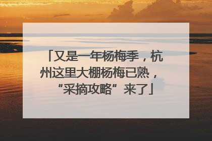 又是一年杨梅季，杭州这里大棚杨梅已熟，“采摘攻略”来了