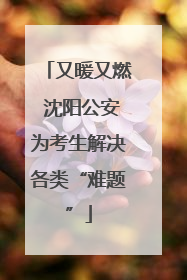 又暖又燃 沈阳公安为考生解决各类“难题”