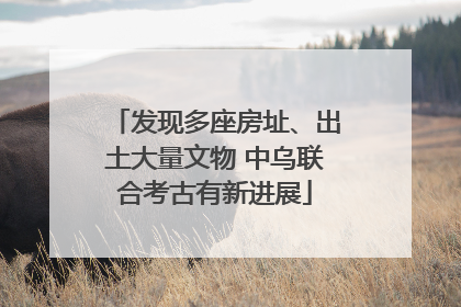 发现多座房址、出土大量文物 中乌联合考古有新进展
