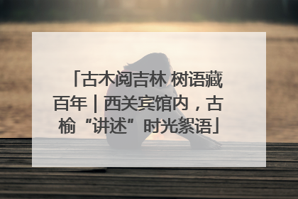 古木阅吉林 树语藏百年｜西关宾馆内，古榆“讲述”时光絮语