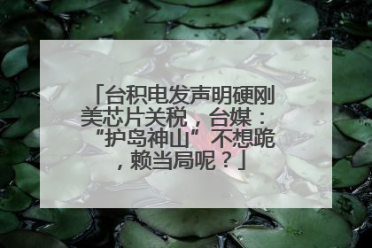 台积电发声明硬刚美芯片关税，台媒：“护岛神山”不想跪，赖当局呢？