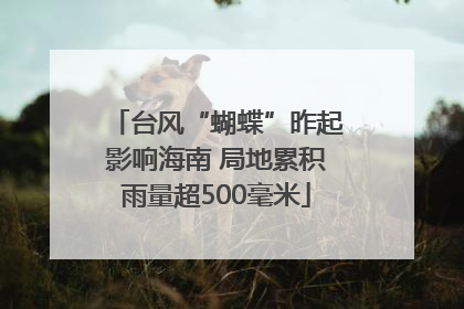 台风“蝴蝶”昨起影响海南 局地累积雨量超500毫米