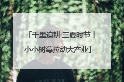 千里追耕·三夏时节丨小小树莓拉动大产业