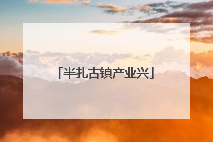 半扎古镇产业兴