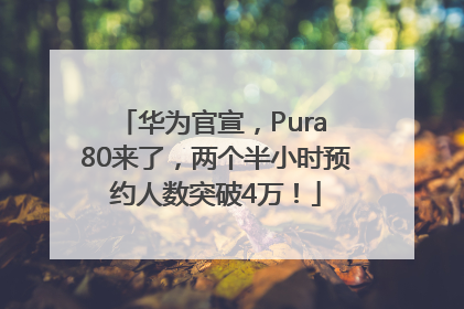 华为官宣，Pura 80来了，两个半小时预约人数突破4万！