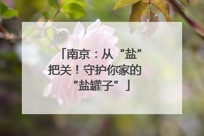 南京：从“盐”把关！守护你家的“盐罐子”