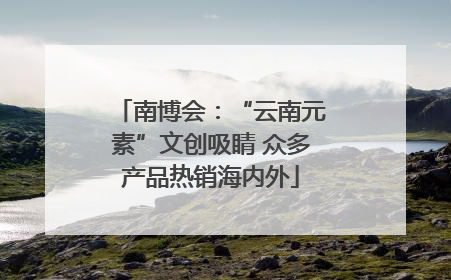 南博会：“云南元素”文创吸睛 众多产品热销海内外