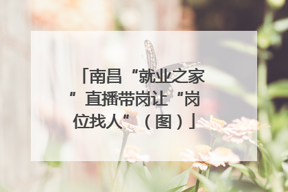 南昌“就业之家”直播带岗让“岗位找人”（图）