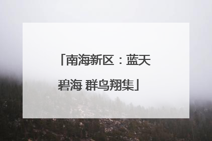 南海新区：蓝天碧海 群鸟翔集