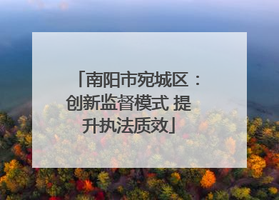 南阳市宛城区：创新监督模式 提升执法质效
