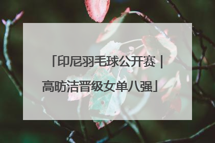 印尼羽毛球公开赛｜高昉洁晋级女单八强