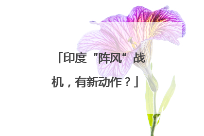 印度“阵风”战机，有新动作？