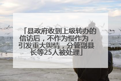 县政府收到上级转办的信访后，不作为慢作为，引发重大舆情，分管副县长等25人被处理