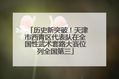 历史新突破！天津市西青区代表队在全国性武术套路大赛位列全国第三