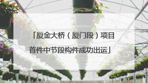 厦金大桥（厦门段）项目首件中节段构件成功出运