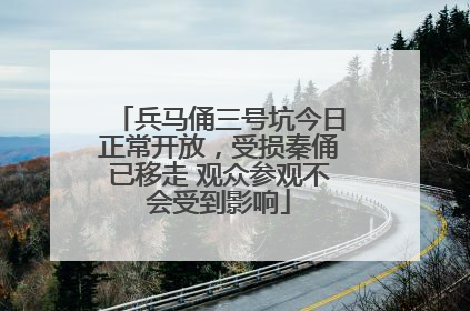 兵马俑三号坑今日正常开放，受损秦俑已移走 观众参观不会受到影响