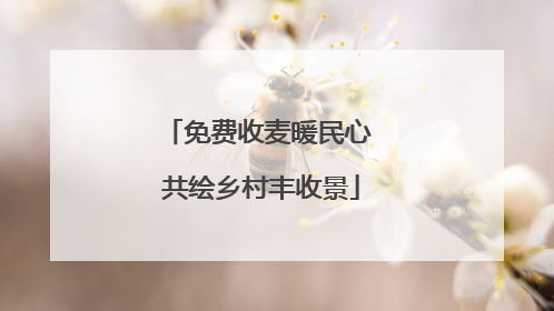 免费收麦暖民心 共绘乡村丰收景