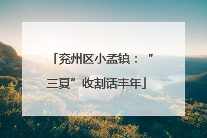 兖州区小孟镇：“三夏”收割话丰年