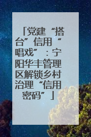 党建“搭台”信用“唱戏”：宁阳华丰管理区解锁乡村治理“信用密码”