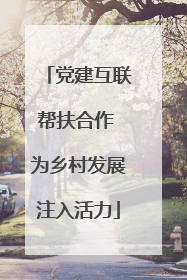 党建互联帮扶合作 为乡村发展注入活力