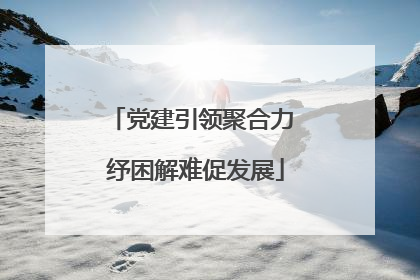 党建引领聚合力 纾困解难促发展