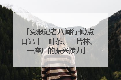 党报记者八闽行·蹲点日记｜一叶茶、一片林、一座厂的振兴接力