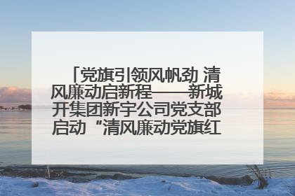 党旗引领风帆劲 清风廉动启新程——新城开集团新宇公司党支部启动“清风廉动党旗红”系列活动