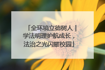 全环境立德树人｜学法明理护航成长，法治之光闪耀校园