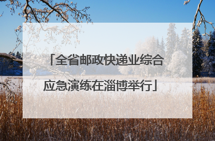 全省邮政快递业综合应急演练在淄博举行
