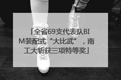 全省69支代表队BIM装配式“大比武”，南工大斩获三项特等奖