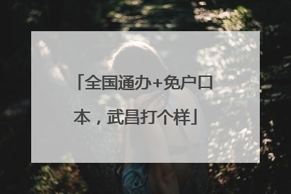 全国通办+免户口本，武昌打个样