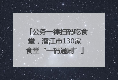 公务一律扫码吃食堂，潜江市130家食堂“一码通刷”