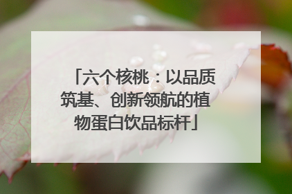 六个核桃：以品质筑基、创新领航的植物蛋白饮品标杆