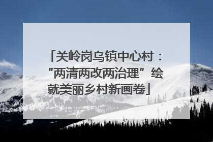 关岭岗乌镇中心村：“两清两改两治理”绘就美丽乡村新画卷