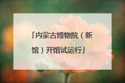 内蒙古博物院（新馆）开馆试运行