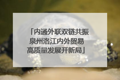 内通外联双链共振 泉州洛江内外贸易高质量发展开新局