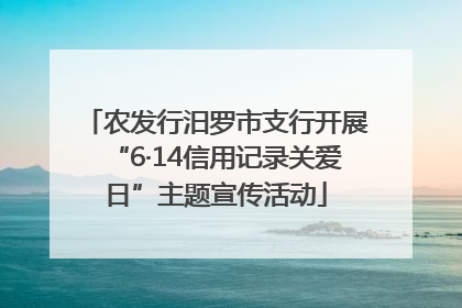 农发行汨罗市支行开展“6·14信用记录关爱日”主题宣传活动