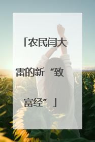 农民闫大雷的新“致富经”
