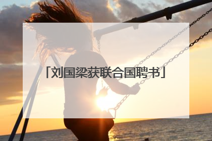 刘国梁获联合国聘书
