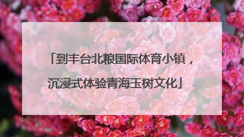 到丰台北粮国际体育小镇，沉浸式体验青海玉树文化