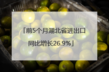 前5个月湖北省进出口同比增长26.9%