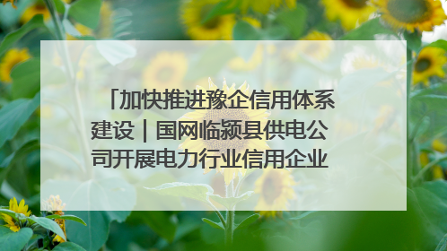 加快推进豫企信用体系建设｜国网临颍县供电公司开展电力行业信用企业现场咨询访谈工作