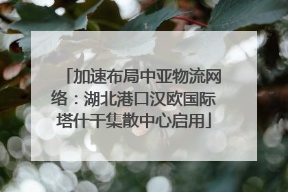 加速布局中亚物流网络：湖北港口汉欧国际塔什干集散中心启用