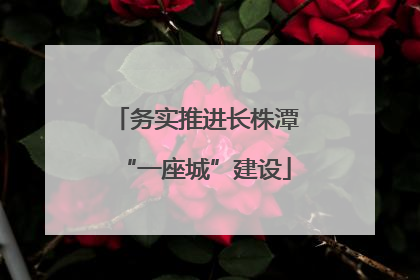 务实推进长株潭“一座城”建设