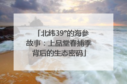 北纬39°的海参故事：上品堂春捕季背后的生态密码